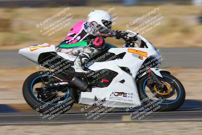 media/Nov-15-2024-CVMA Friday Practice (Fri) [[b142d29251]]/4-Group 4 and Trackday/Session 1 (Turn 14 Speed Pans)/